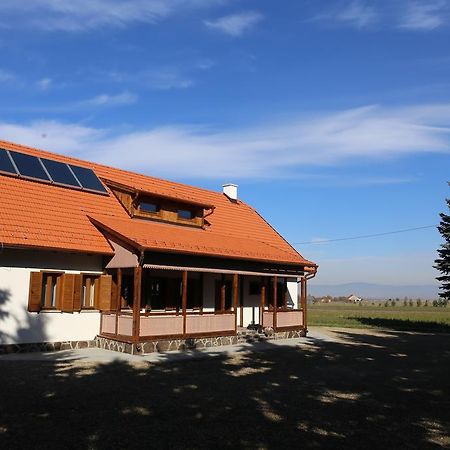 Hotel Ezuestfenyo Agroturisztikai Panzio Borzont Esterno foto