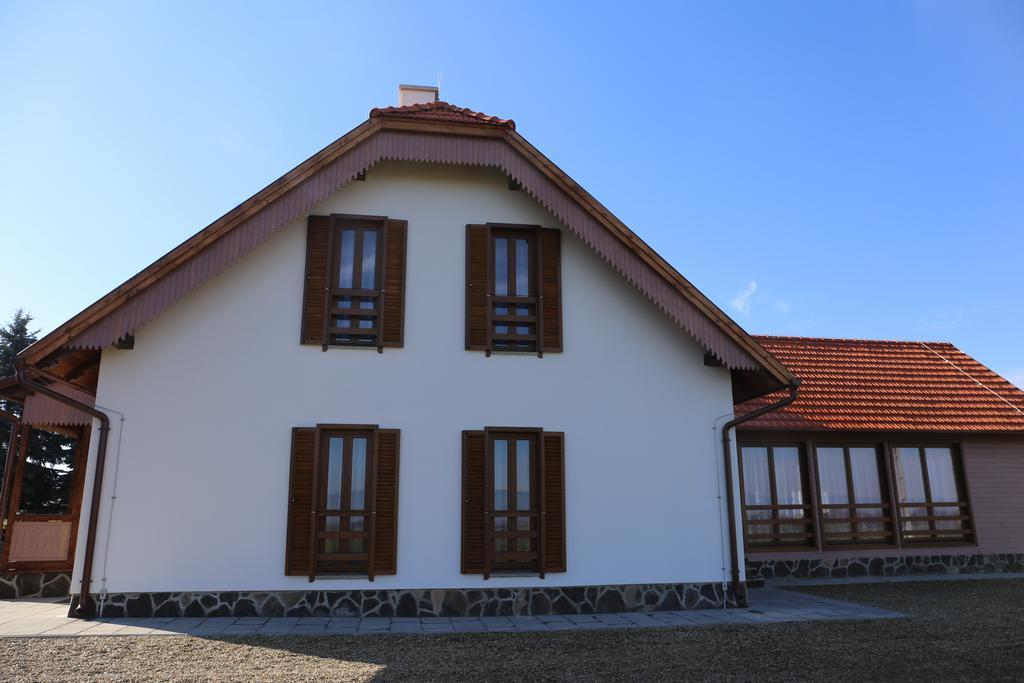 Hotel Ezuestfenyo Agroturisztikai Panzio Borzont Esterno foto