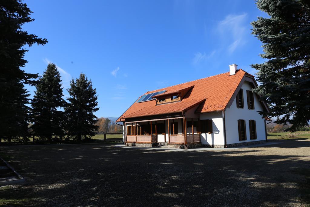 Hotel Ezuestfenyo Agroturisztikai Panzio Borzont Esterno foto