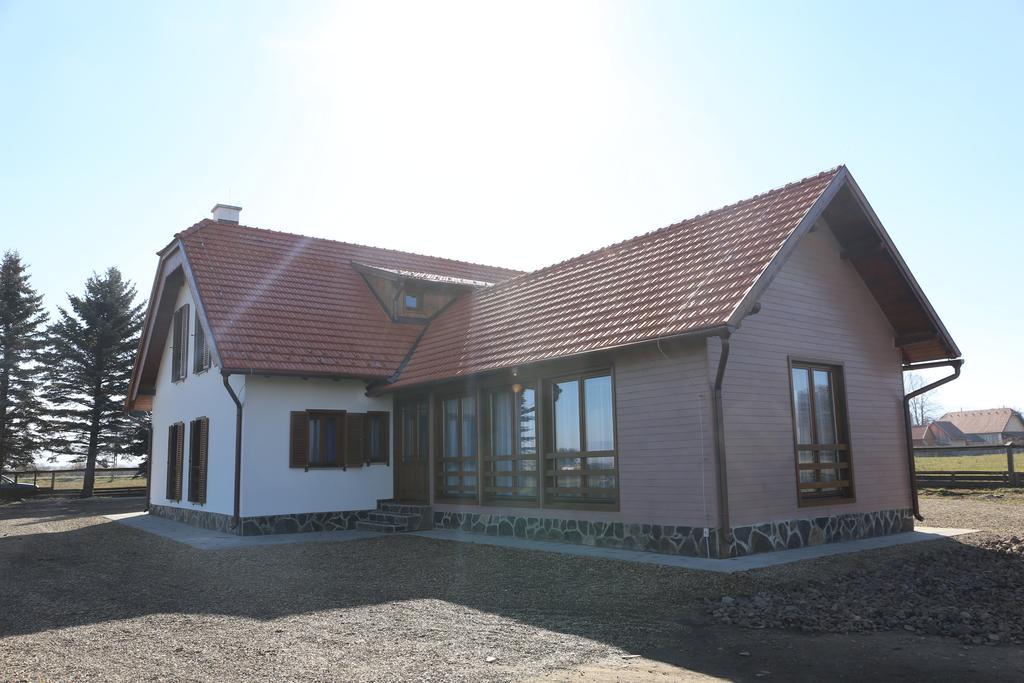 Hotel Ezuestfenyo Agroturisztikai Panzio Borzont Esterno foto