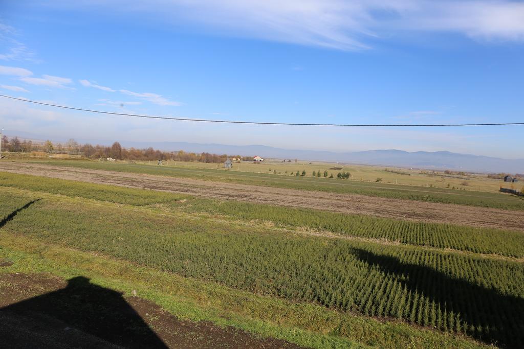 Hotel Ezuestfenyo Agroturisztikai Panzio Borzont Esterno foto