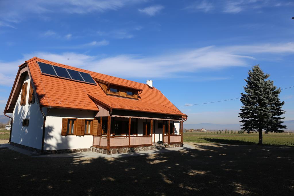 Hotel Ezuestfenyo Agroturisztikai Panzio Borzont Esterno foto